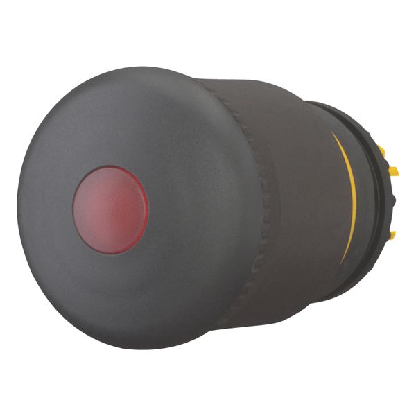 HALT/STOP-Button, RMQ-Titan, Mushroom-shaped, 38 mm, Illuminated with LED element, Pull-to-release function, Black, yellow, RAL 9005 image 3