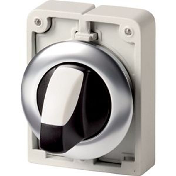 Changeover switch, RMQ-Titan, with thumb-grip, momentary, 3 positions, Front ring stainless steel image 2