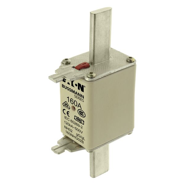 Fuse-link, LV, 160 A, AC 500 V, NH02, gL/gG, IEC, dual indicator, live gripping lugs image 13