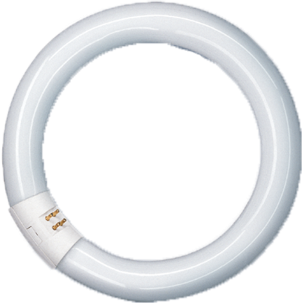 Spectralux®Plus Ring , NL-T9 40W/840C/G10Q image 1