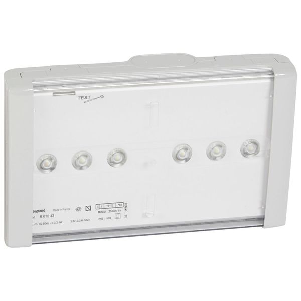 Emergency luminaire B66 LED - maintained/non-maintained - IP 66 - 1h - 250 lm image 1
