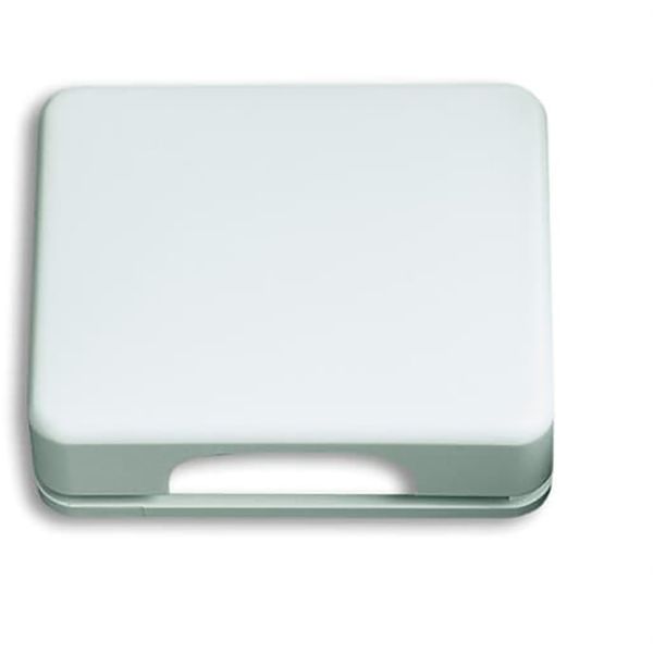1746-24G-101 CoverPlates (partly incl. Insert) carat® Studio white image 1