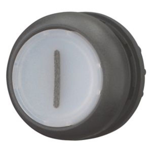Illuminated pushbutton actuator, RMQ-Titan, Flush, momentary, White, inscribed 1, Bezel: black image 1