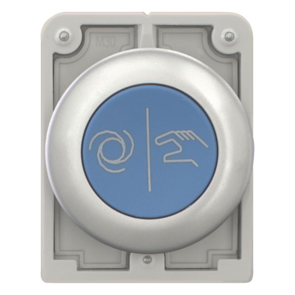 Pushbutton, RMQ-Titan, Flat, momentary, Blue, inscribed, Metal bezel image 6