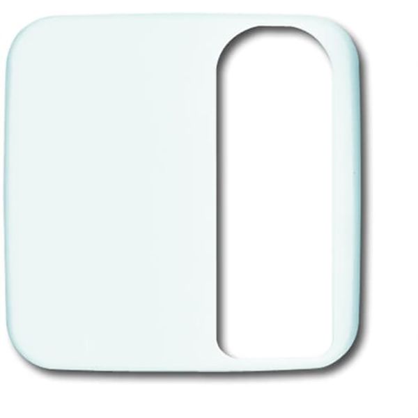 1790-585-214 CoverPlates (partly incl. Insert) Data communication Alpine white image 1