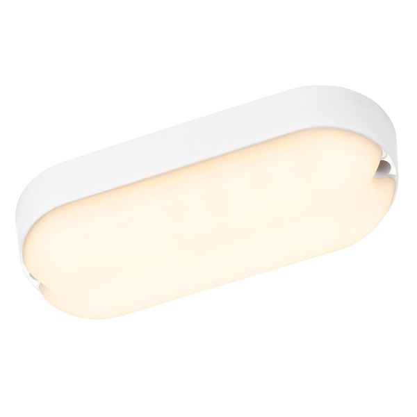 OVALIS LED 5W 3000K 500lm, opal IP65 white image 1