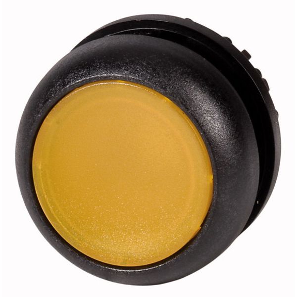 Illuminated pushbutton actuator, RMQ-Titan, Flush, momentary, yellow, Blank, Bezel: black image 1