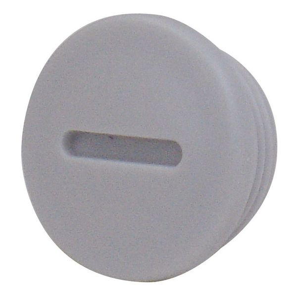 Metric blanking plug M12x1.5 image 1