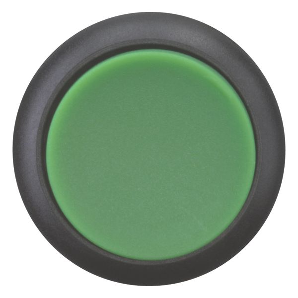Pushbutton, RMQ-Titan, Extended, momentary, green, Blank, Bezel: black image 5
