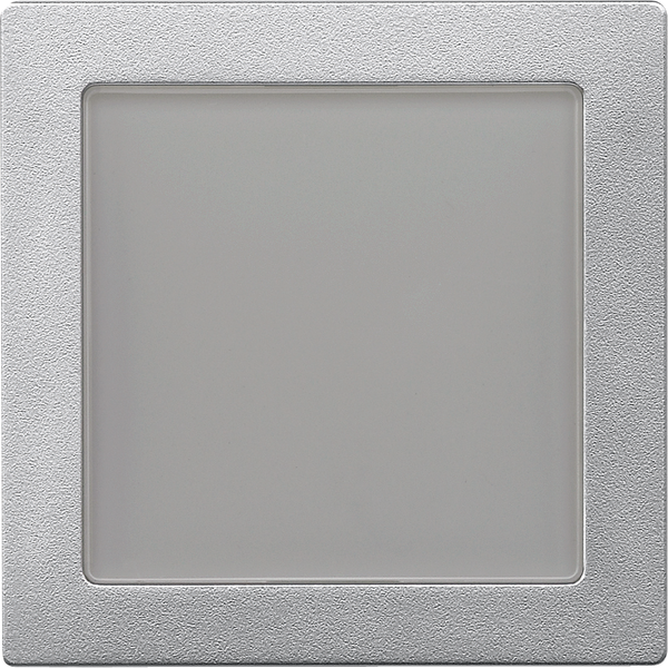 Central plate with window, aluminium, System M image 2