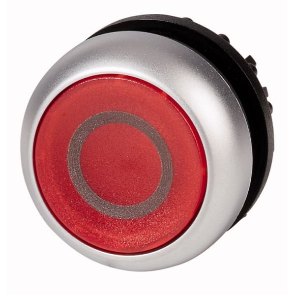 Illuminated pushbutton actuator, RMQ-Titan, Flush, momentary, red, inscribed, Bezel: titanium image 1