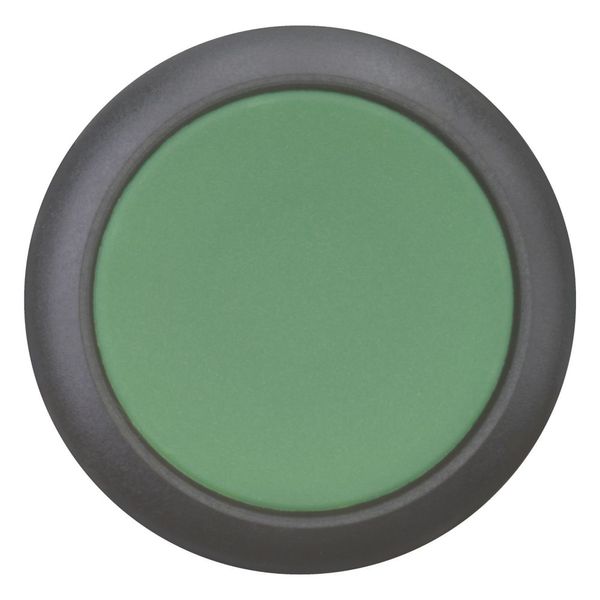 Pushbutton, RMQ-Titan, Flat, maintained, green, Blank, Bezel: black image 10