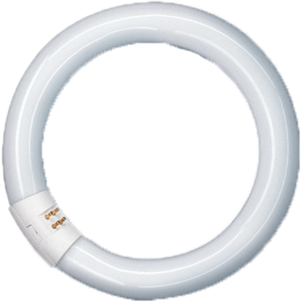 Spectralux®Plus Ring , NL-T9 22W/840C/G10Q image 1