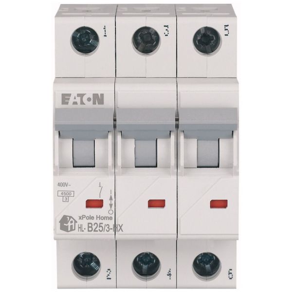 Miniature circuit breaker (MCB), 25 A, 3p, characteristic: B image 3