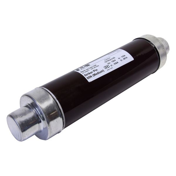 Fuse-link, medium voltage, 125 A, AC 12 kV, 3", 76 x 292 mm, back-up, DIN, with striker image 14