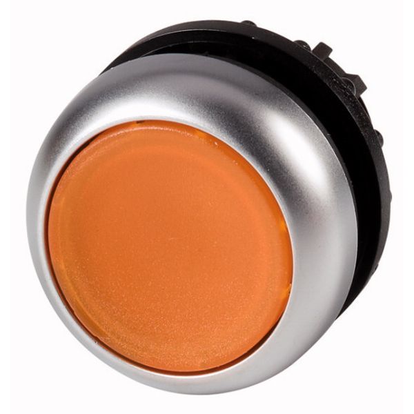 Illuminated pushbutton actuator, RMQ-Titan, Flush, momentary, orange, Blank, Bezel: titanium image 1