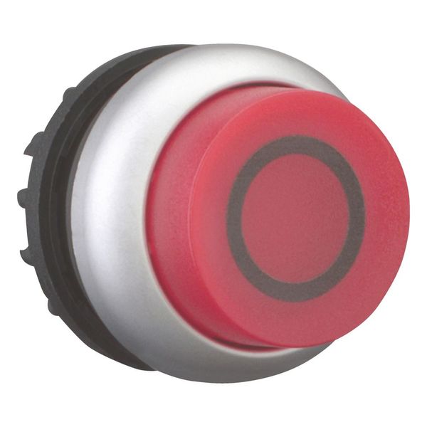 Illuminated pushbutton actuator, RMQ-Titan, Extended, maintained, red, inscribed, Bezel: titanium image 6