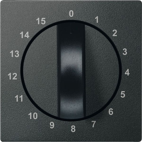 Central plate for time switch insert, 15 min, anthracite, System M image 4