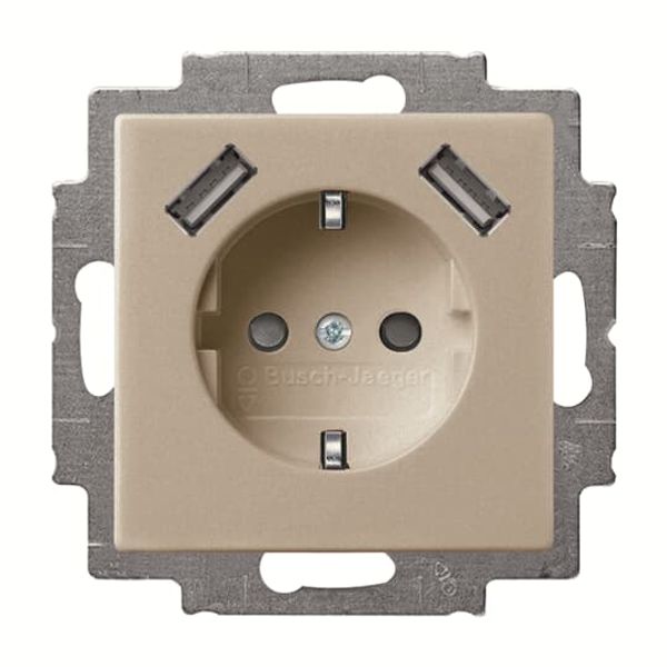 20 EUCB2USB-93-507 Socket insert Protective contact (SCHUKO) with USB AA champagne - Basic55 image 1