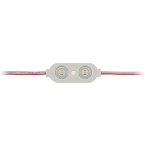 LED module ensures Twin 12 CW (Kalt white)  IP65  CRI/RA 90+ image 2