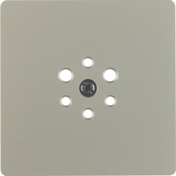 Central plate for 6pole soc. out., Accessories, stainless steel matt,  image 1