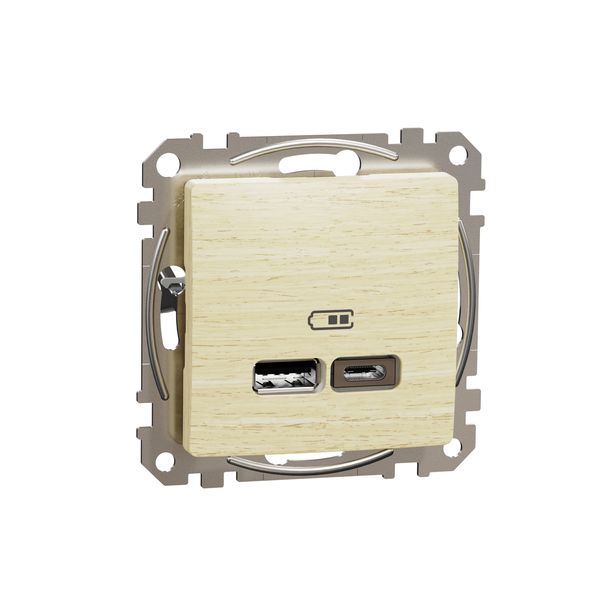 Sedna Design & Elements, USB charger A+C, 2,4A, wood birch image 4