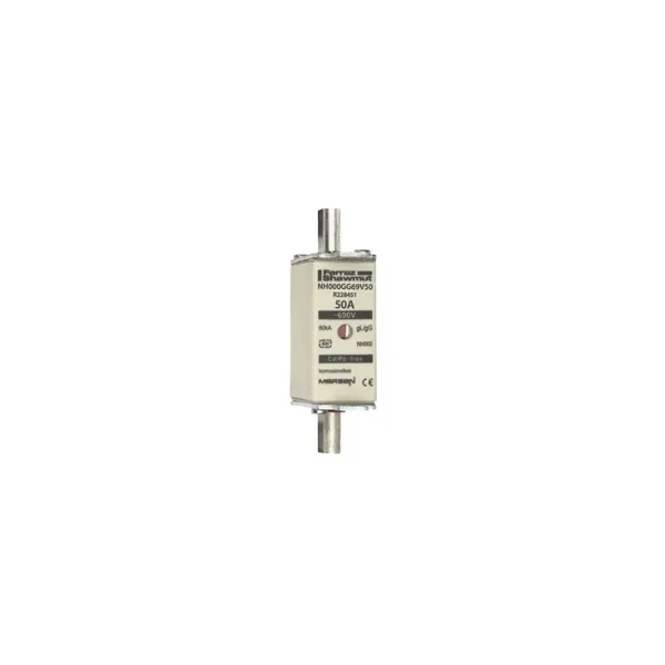 Fuse-link NH000 gG 690VAC 50A live tags Double indicator image 2