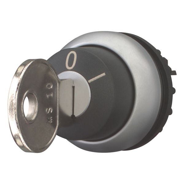 Key-operated actuator, maintained, 2 positions, MS10, Key withdrawable: 0, Bezel: titanium image 5