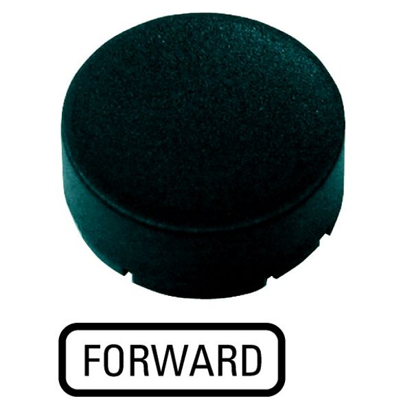 Button plate, raised black, FORWARD image 1