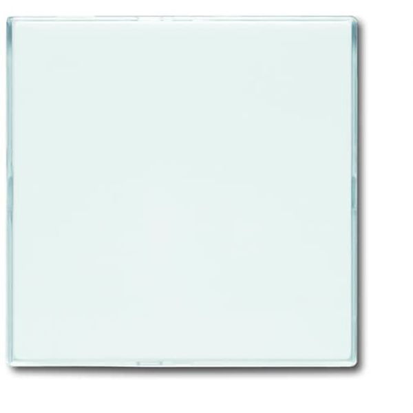 1576 CN-84 CoverPlates (partly incl. Insert) future®, Busch-axcent®, solo®; carat® Studio white image 1