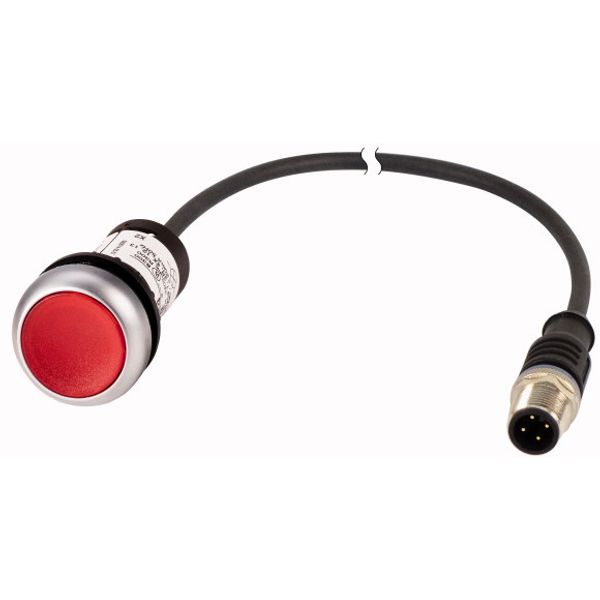 Illuminated pushbutton actuator, classic, flat, maintained, 1 N/C, red, 24 V AC/DC, cable (black) with m12a plug, 4 pole, 0.2 m image 1