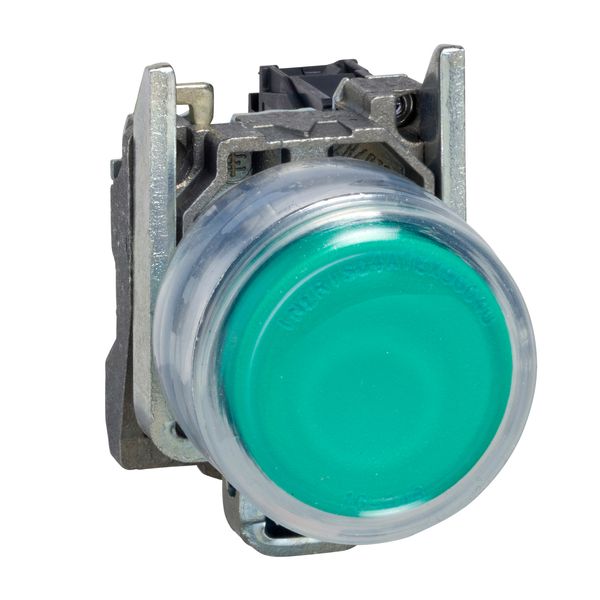 ATEX ILLUMINATED PUSHBUTTON image 1