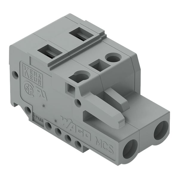 1-conductor female connector CAGE CLAMP® 2.5 mm² gray image 1