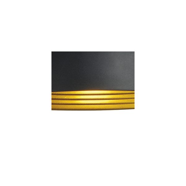 FORCHINI M, E27, max. 40W, +adapter, 40cm, round, black/gold image 4