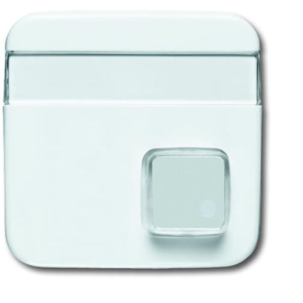 1571 CN-214 CoverPlates (partly incl. Insert) carat® Alpine white image 1