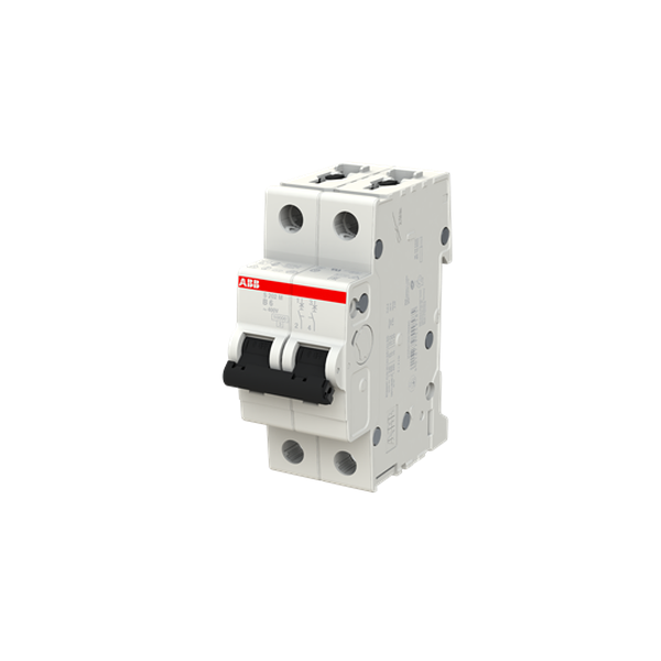 S202M-D8 Miniature Circuit Breaker - 2P - D - 8 A image 2