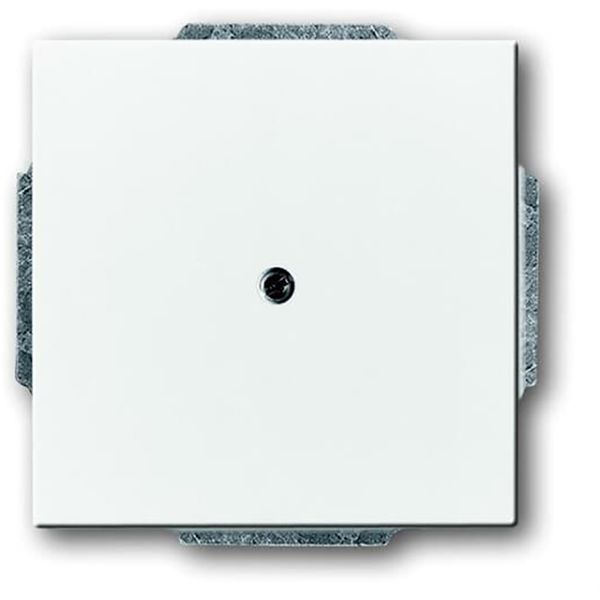 1742-84 CoverPlates (partly incl. Insert) future®, Busch-axcent®, solo®; carat® Studio white image 1