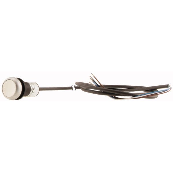 Pushbutton, classic, flat, maintained, 1 N/O, white, cable (black) with non-terminated end, 4 pole, 1 m image 3