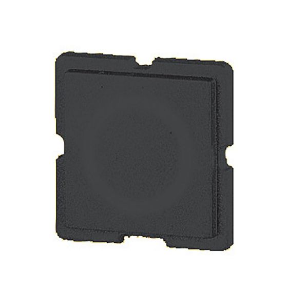 Button plate 25, black image 6