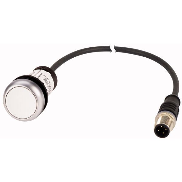 Pushbutton, Flat, momentary, 1 N/O, Cable (black) with M12A plug, 4 pole, 0.5 m, White, Blank, Bezel: titanium image 1