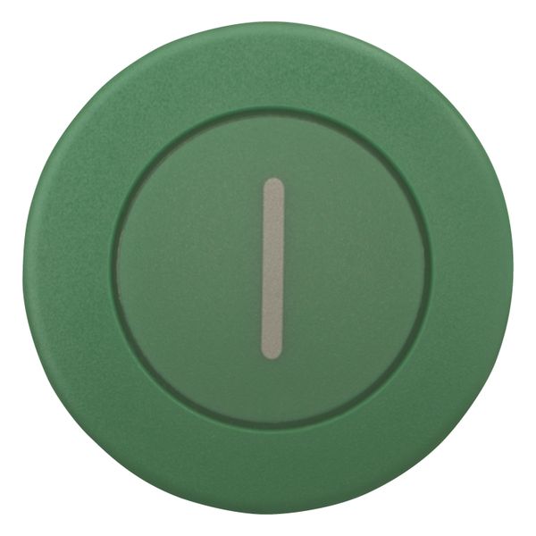 Mushroom actuator, RMQ-Titan, Mushroom, maintained, Mushroom green, green, inscribed, Bezel: black image 10