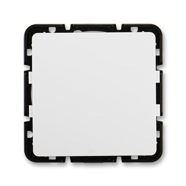 3902G-A00001 B1 Blank plate image 1