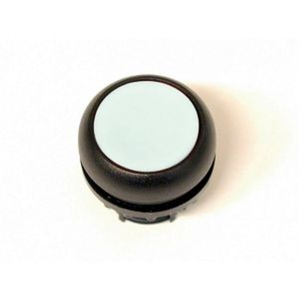 Pushbutton, RMQ-Titan, Flat, maintained, Without button plate, Bezel: black image 2