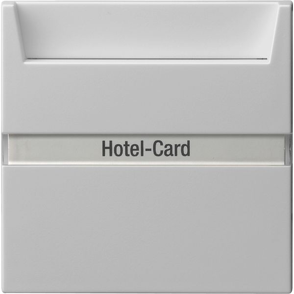 hotel-card 2-way m-c (ill.) in.sp. System 55 grey m image 1