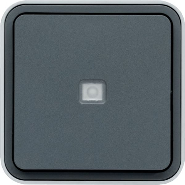 CUBYKO LIGHT WALL BUTTON IP55 GRAY image 1