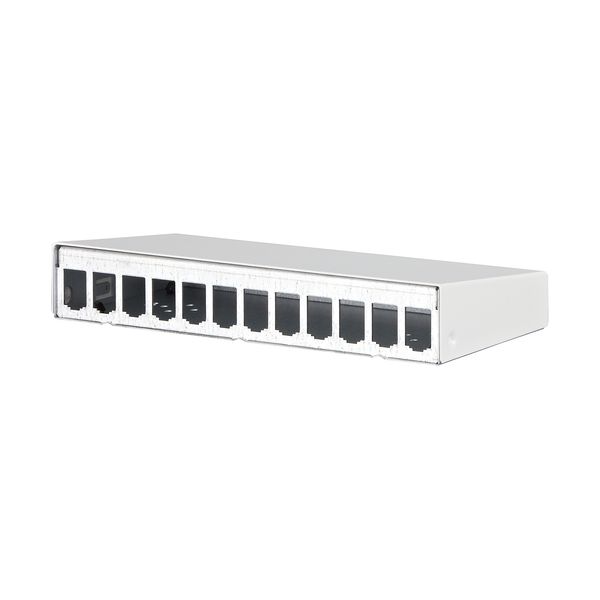 Modul surface mount housing 12 port pure white, unequipped image 1