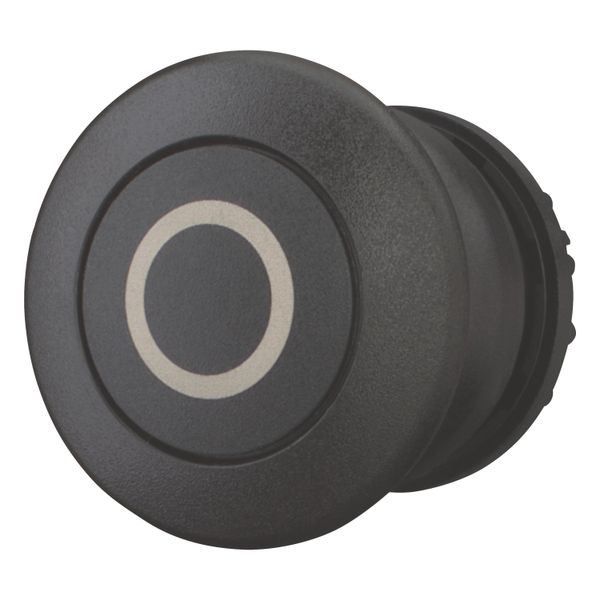 Mushroom actuator, RMQ-Titan, Mushroom, maintained, Mushroom black, black, inscribed, Bezel: black image 2