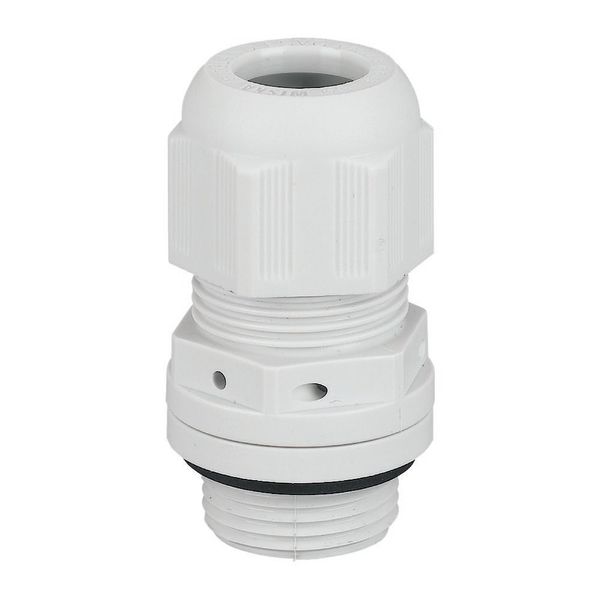 Cable gland, for ventilation, M20, RAL 7035, IP68 image 5