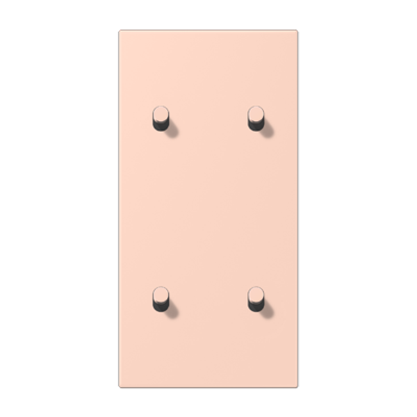 Centre plate with toggle lever "cylinder LC12-25R0234 image 1