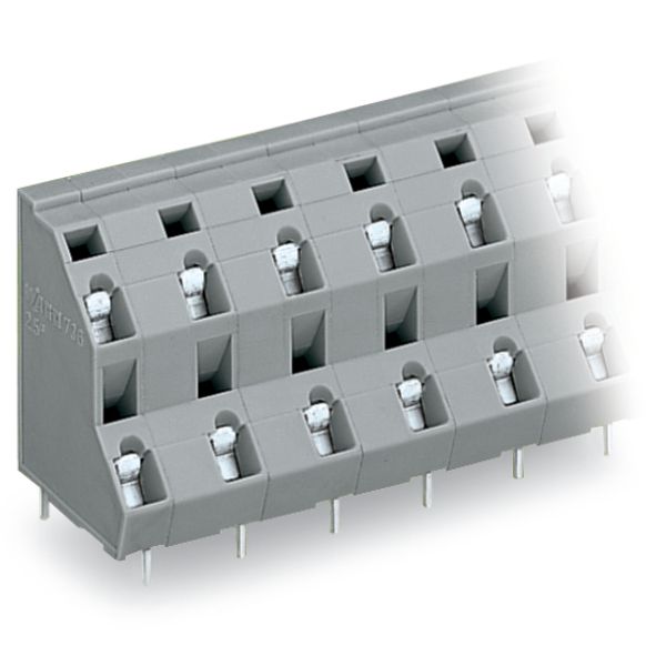 Double-deck PCB terminal block 2.5 mm² Pin spacing 10 mm gray image 6